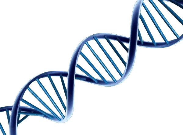 上海供卵试管机构